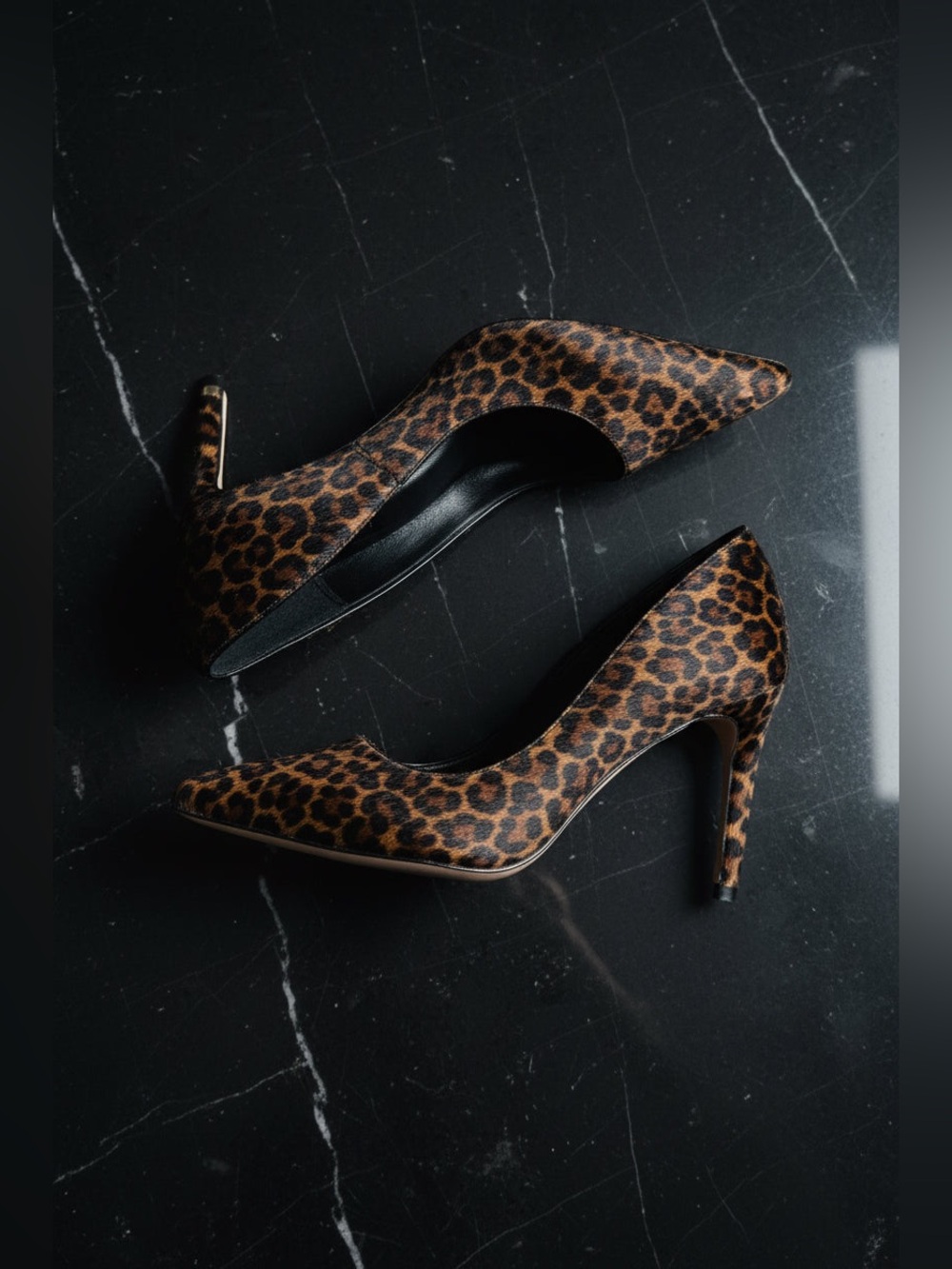 Leopard Print Pointed-Toe High Heels - Picture 1 of 16